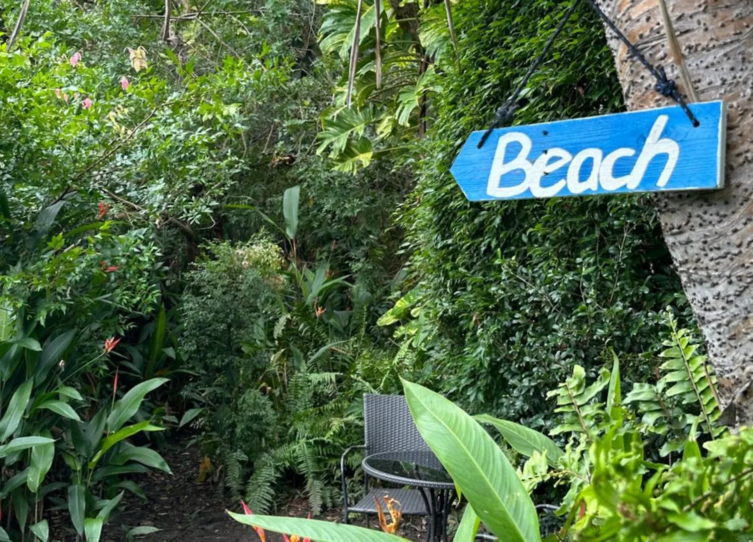 Dom wakacyjny Absolute Beach Front Home -Dogs, Surf, Relax, Bush Kawana Waters